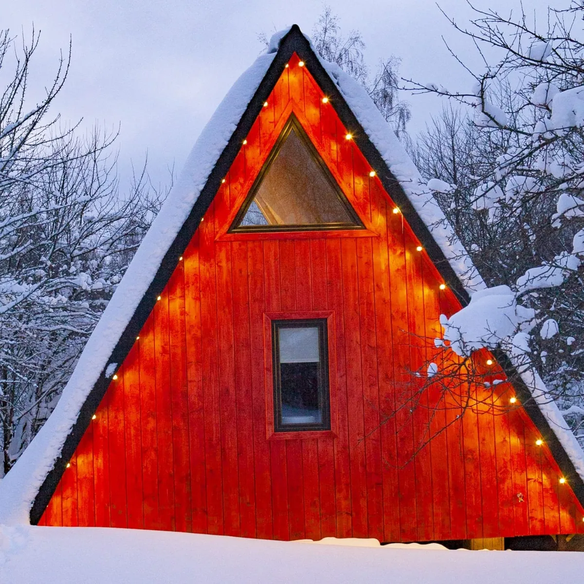 Олень фото 5