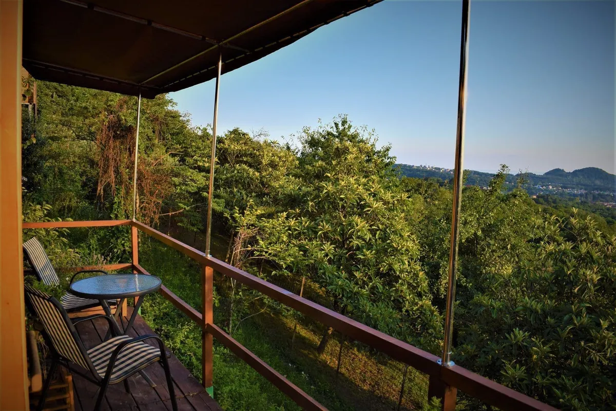 Oranjerei soci фото 3