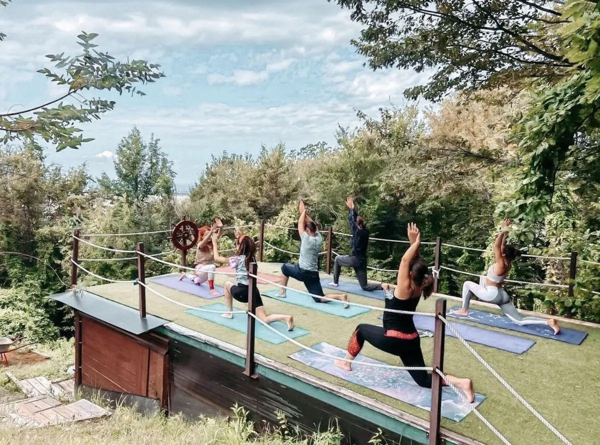 Oranjerei soci фото 4