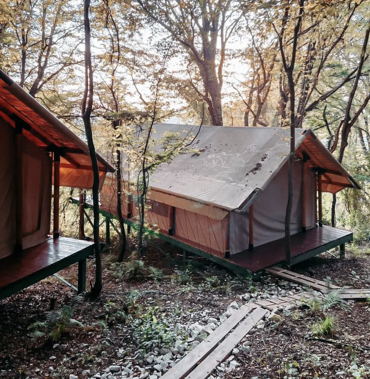 Oranjerei soci фото 5