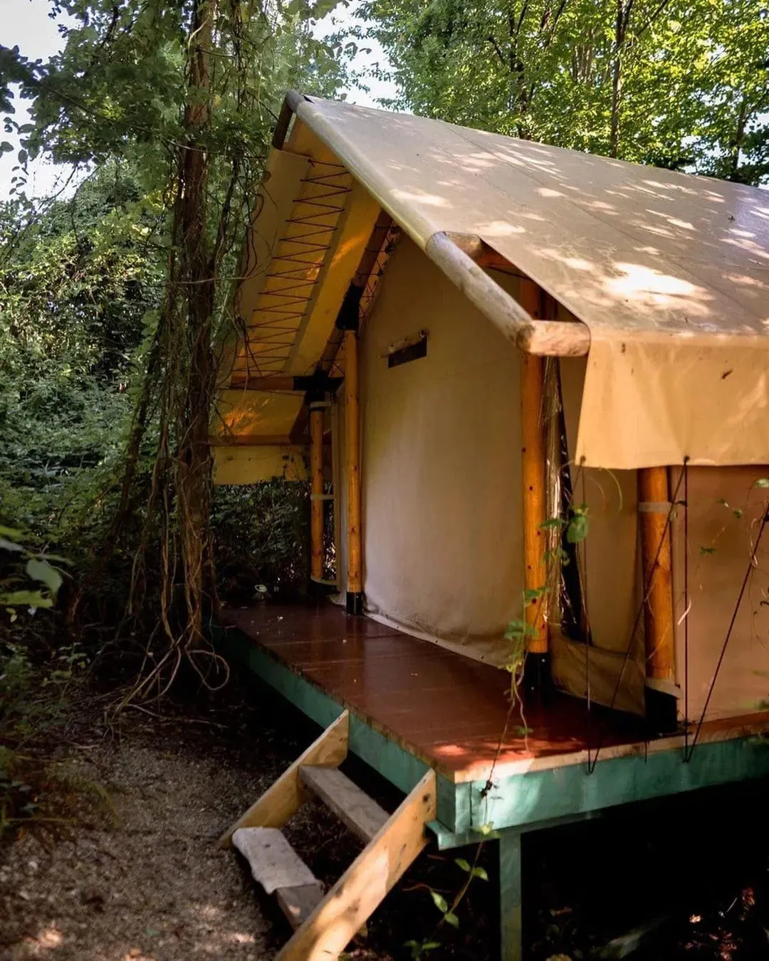 Оранжереи фото 2