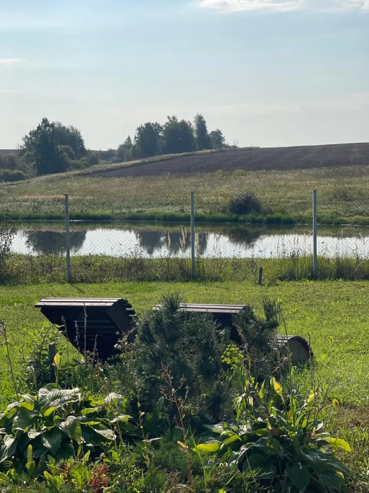 Отдых у реки фото 5