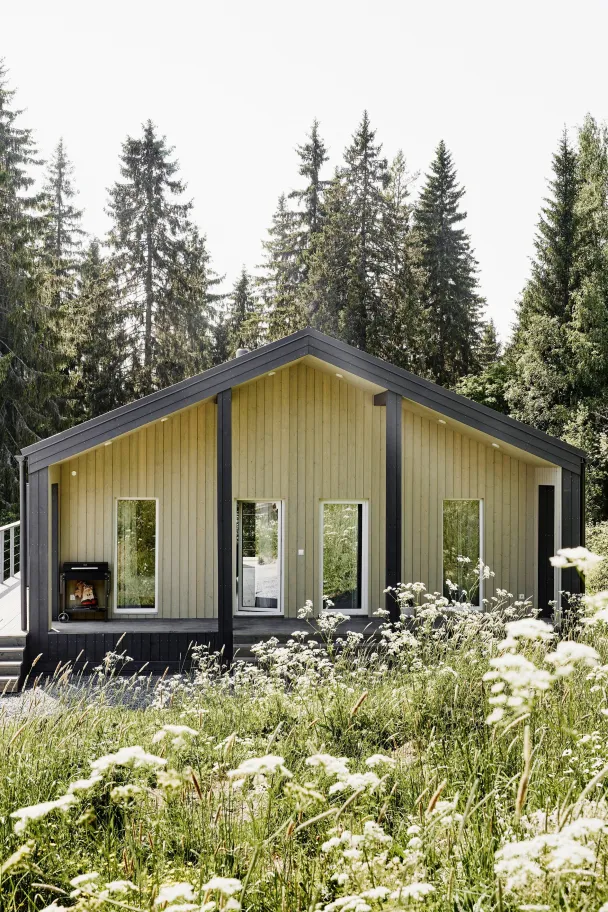 Панорамные коттеджи Аhinkoski