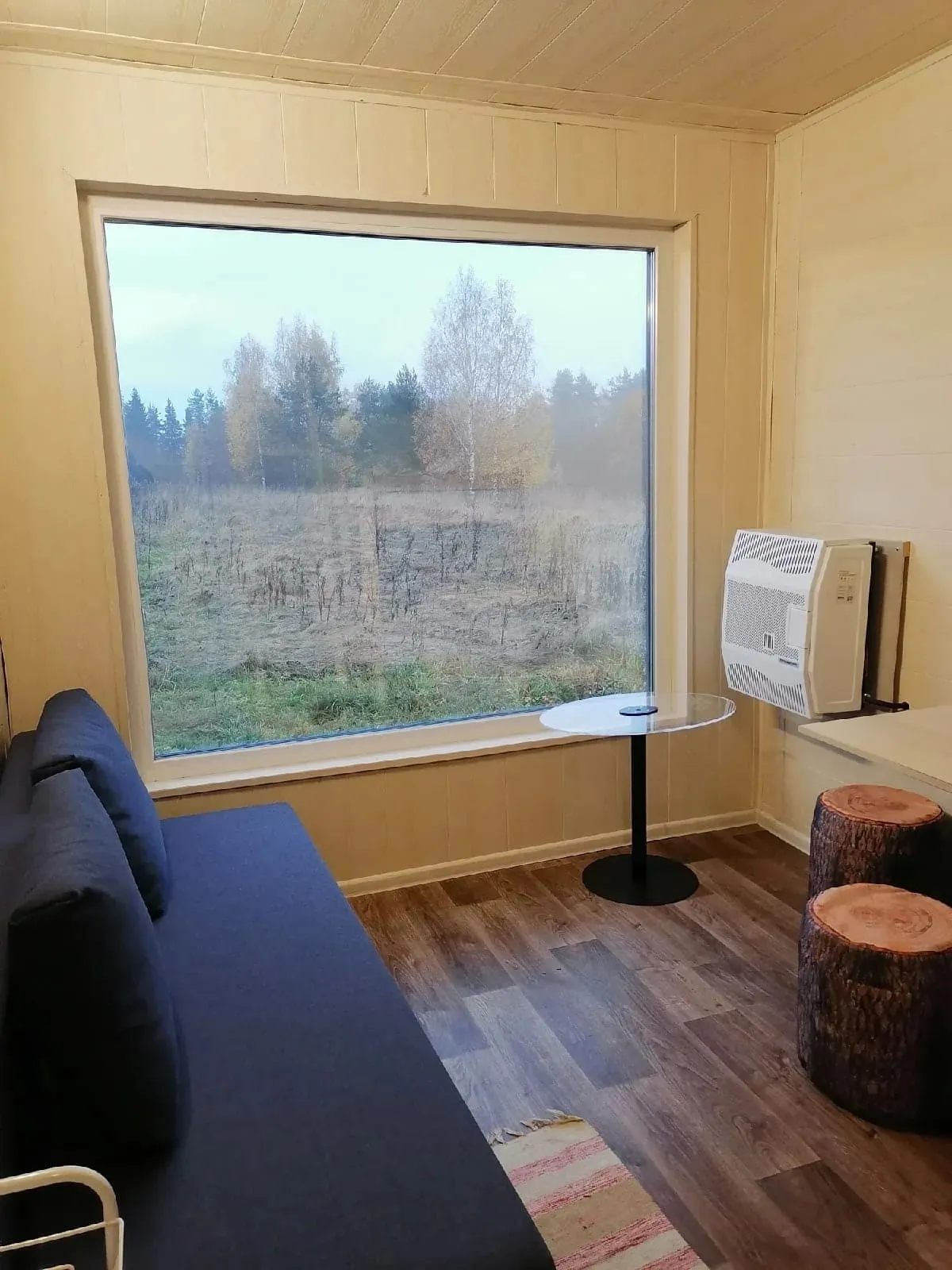 Папоротник фото 2