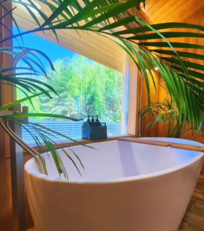 Папоротник фото 3