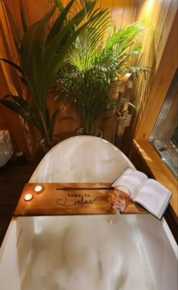 Папоротник фото 4