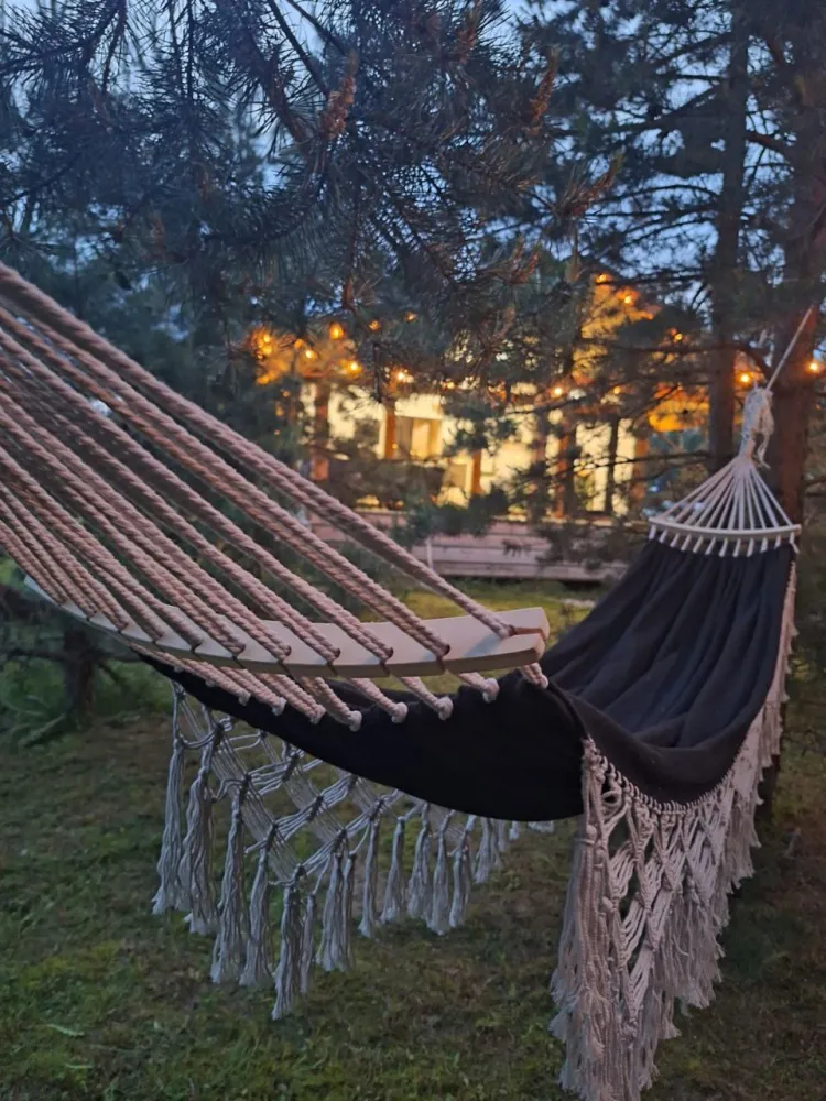 Папоротник фото 5