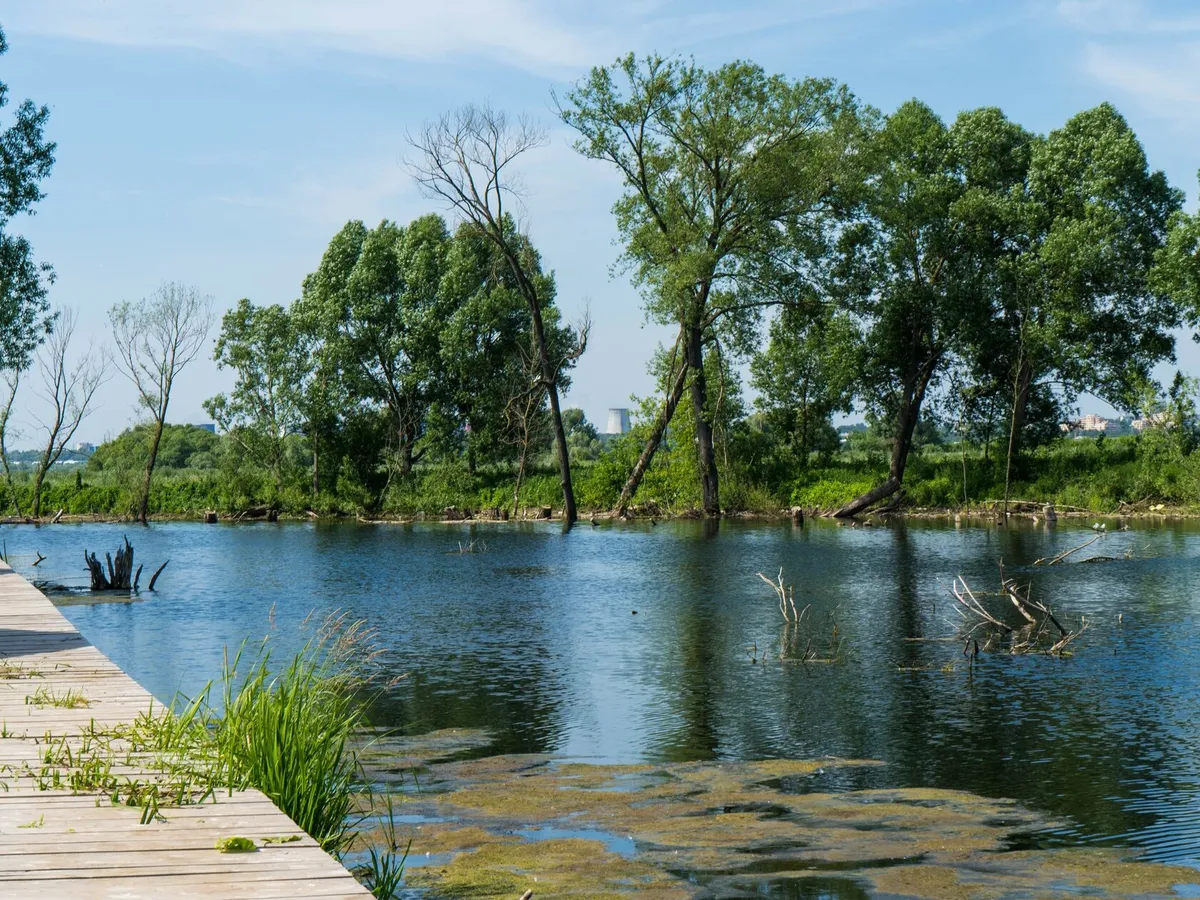 Парк-Отель Остров Глэмпинг фото 3