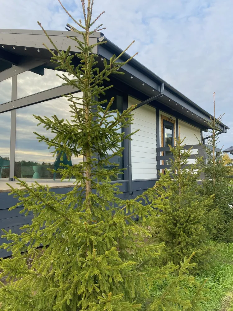 Переславль-Залесский фото 4