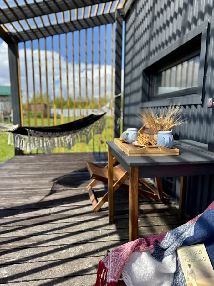 PETRUSHKA.Просторы