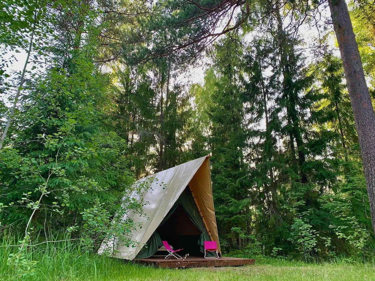 Пикник-парк ЛесОк