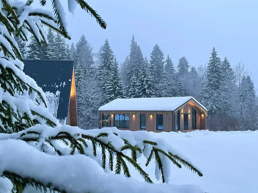 Pine Forest в г.о. Истра