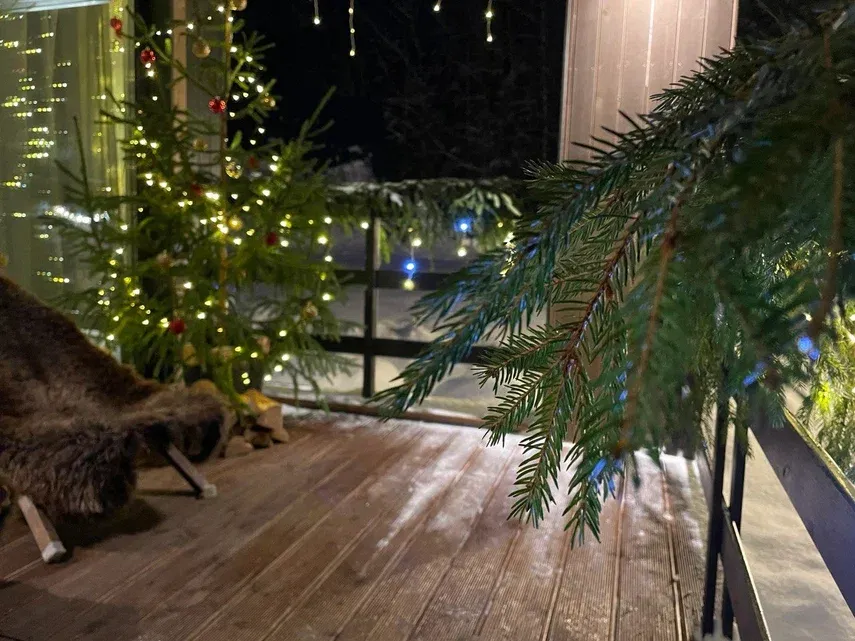 Pine Forest в г.о. Истра фото 2