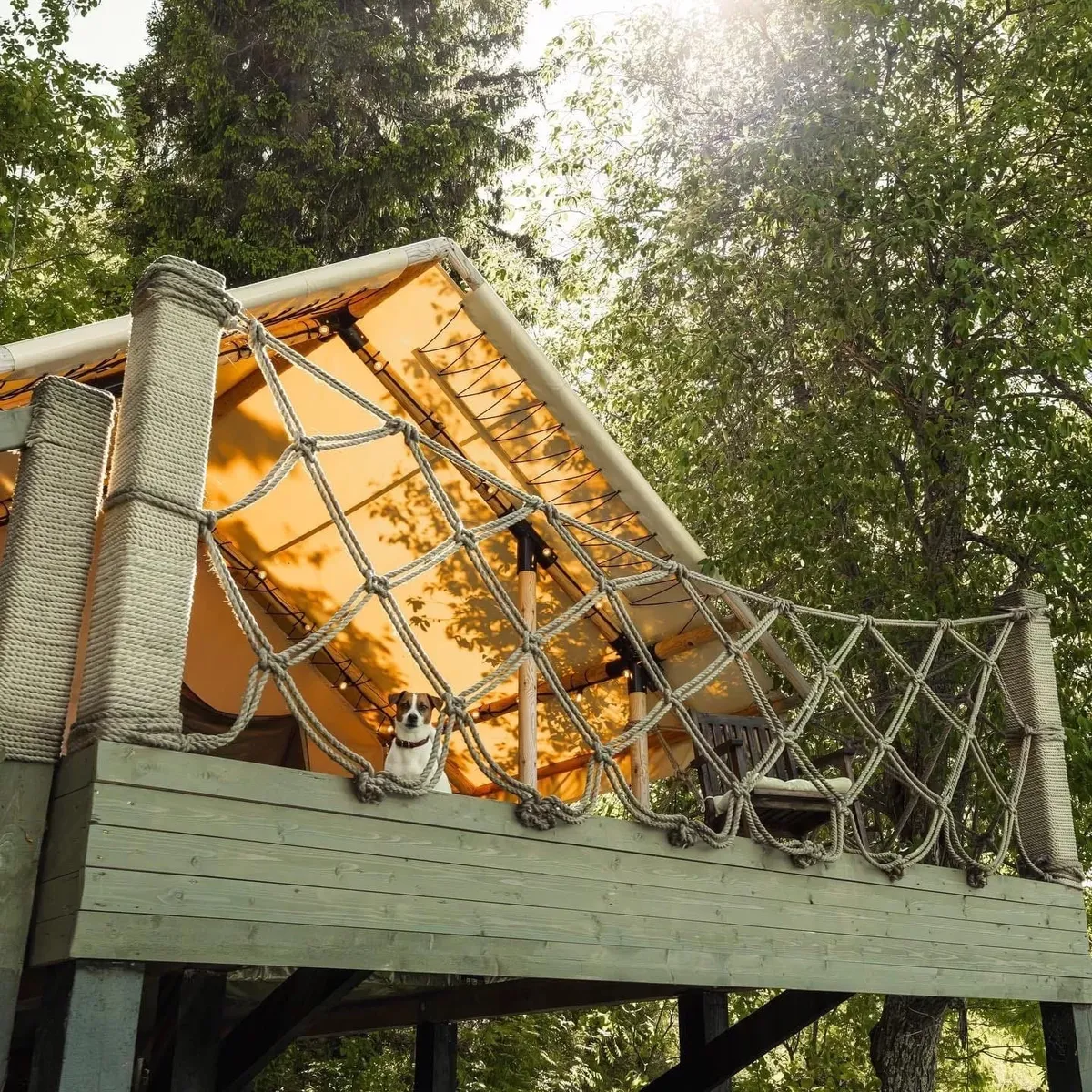 Под Небом фото 2