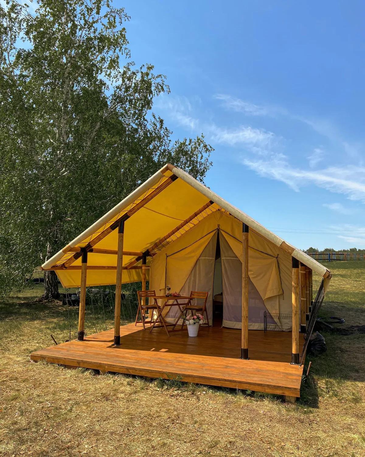 Подсолнухи фото 3