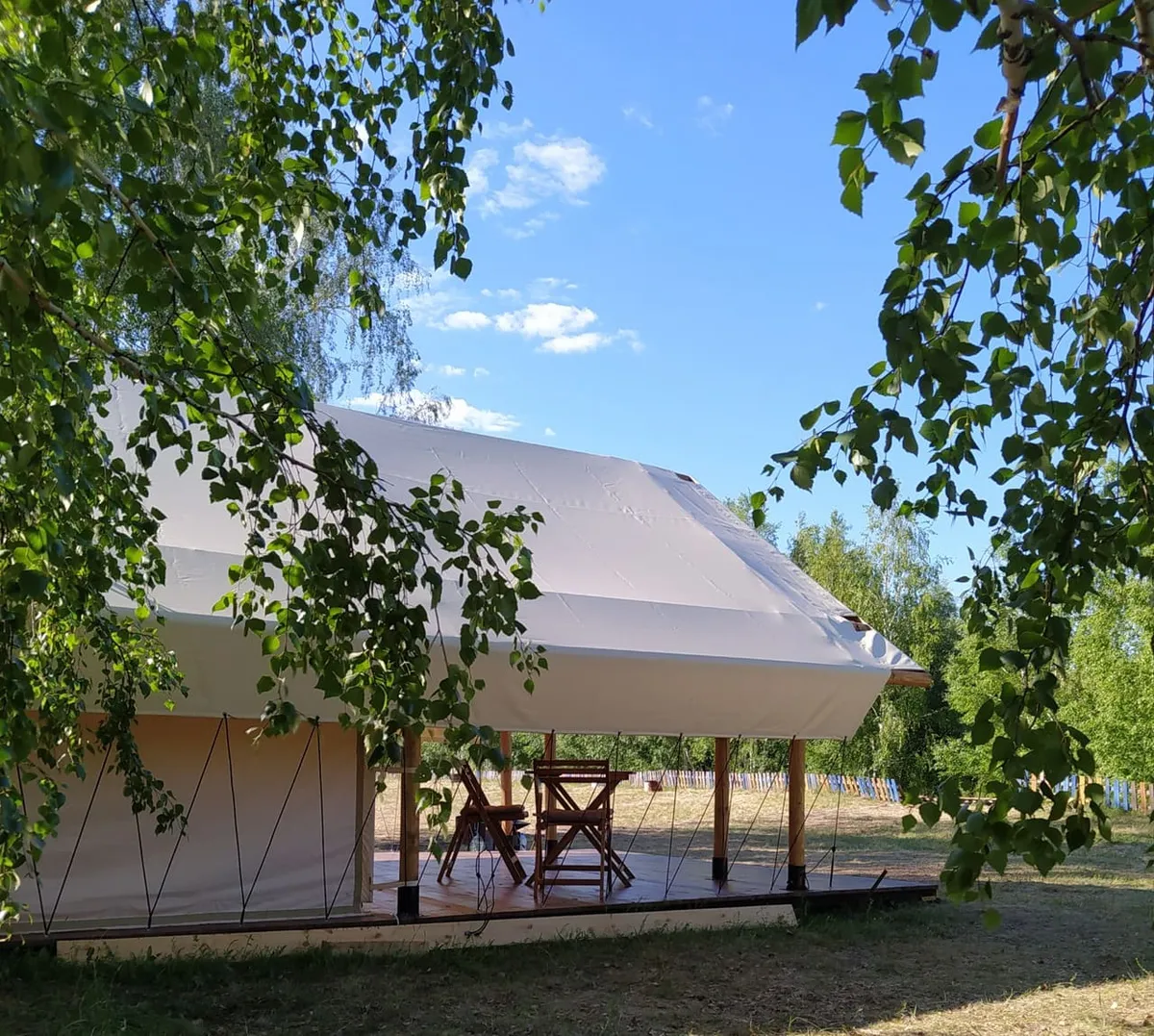 Подсолнухи фото 4