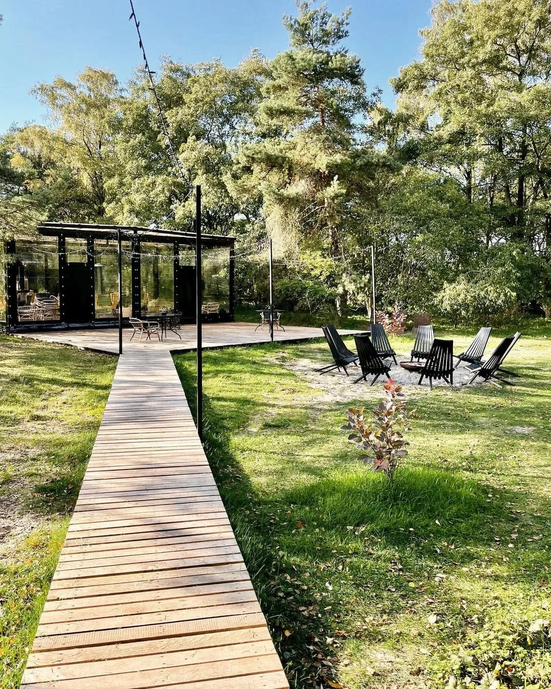 Поляна Куршская коса фото 2