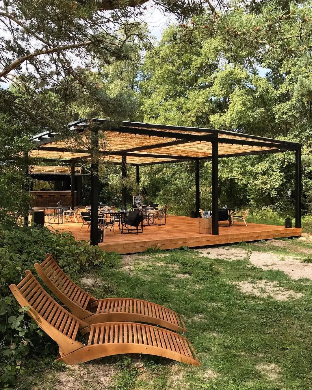 Поляна Куршская коса фото 3