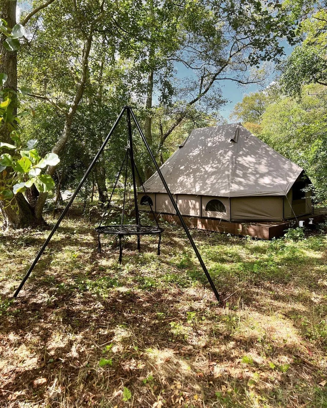 Поляна фото 2