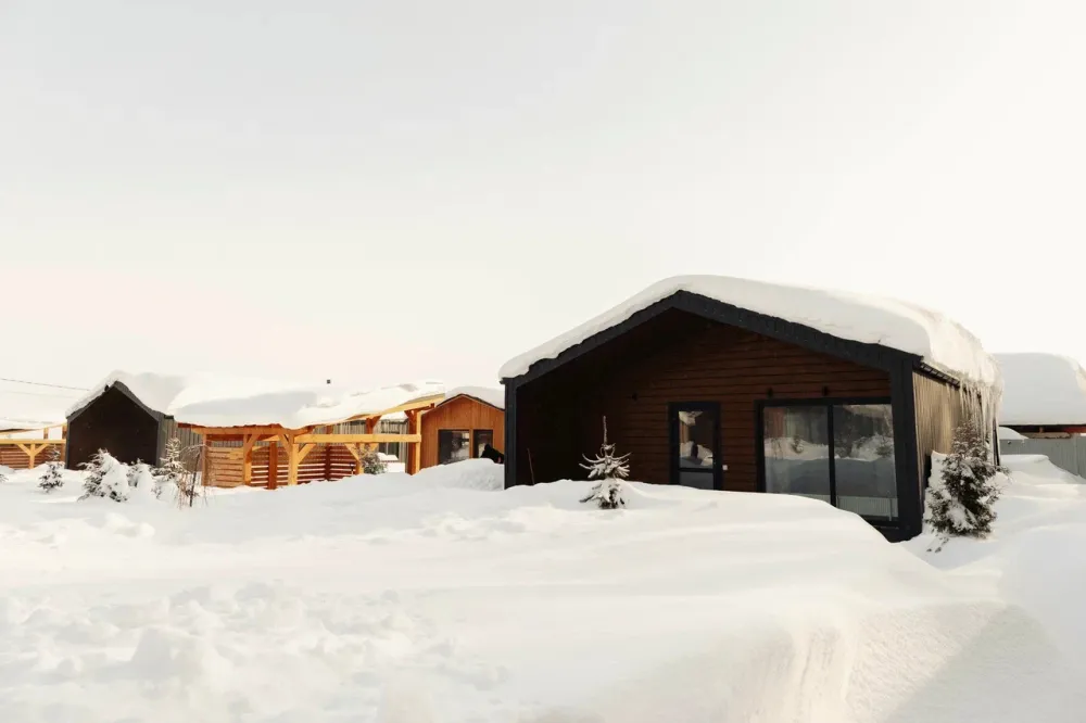 Просто ёлки фото 4