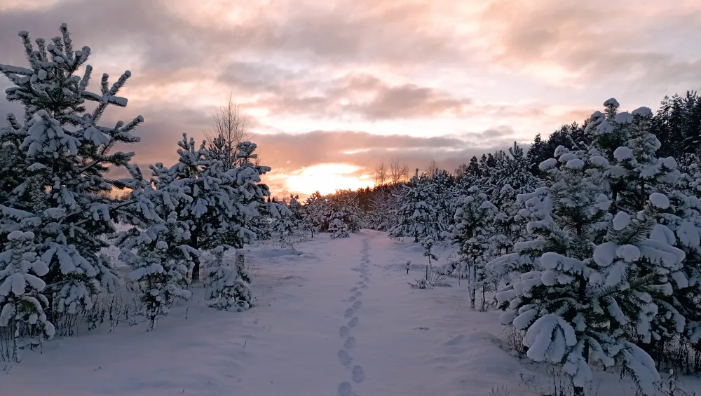 Простокашино фото 4