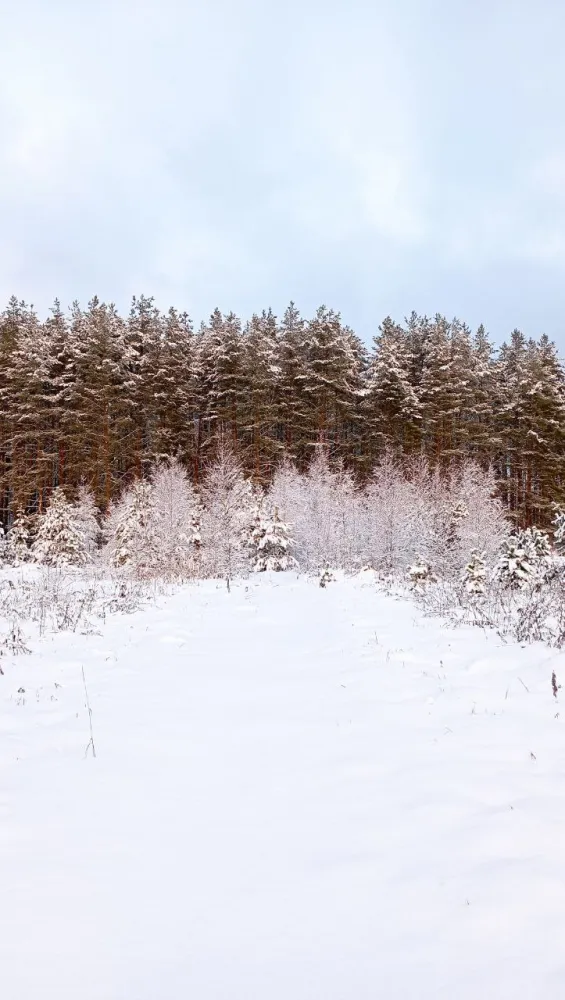 Простокашино фото 5