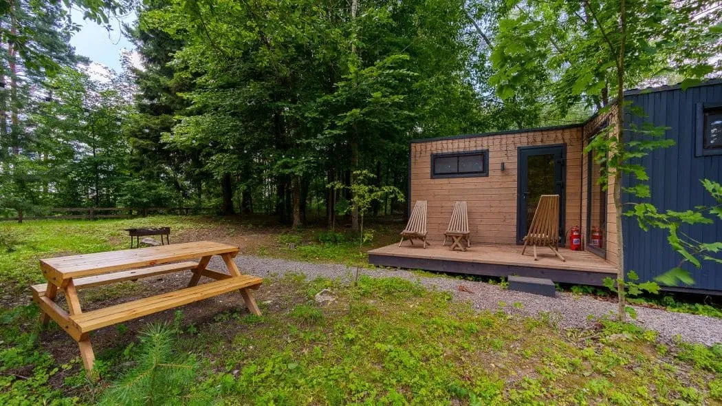 Пятый элемент