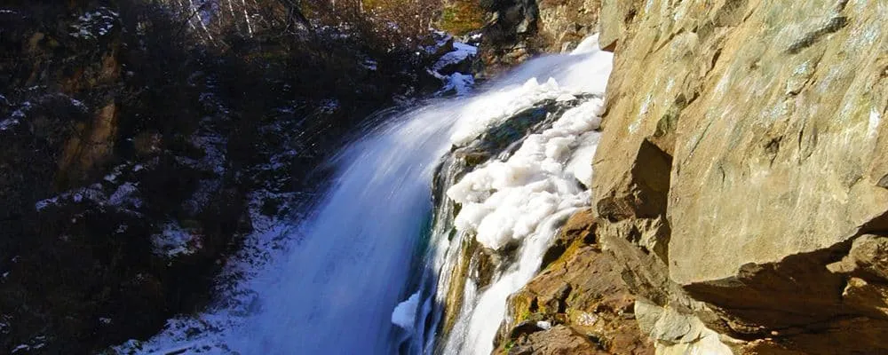 Рафт-Премьер фото 3