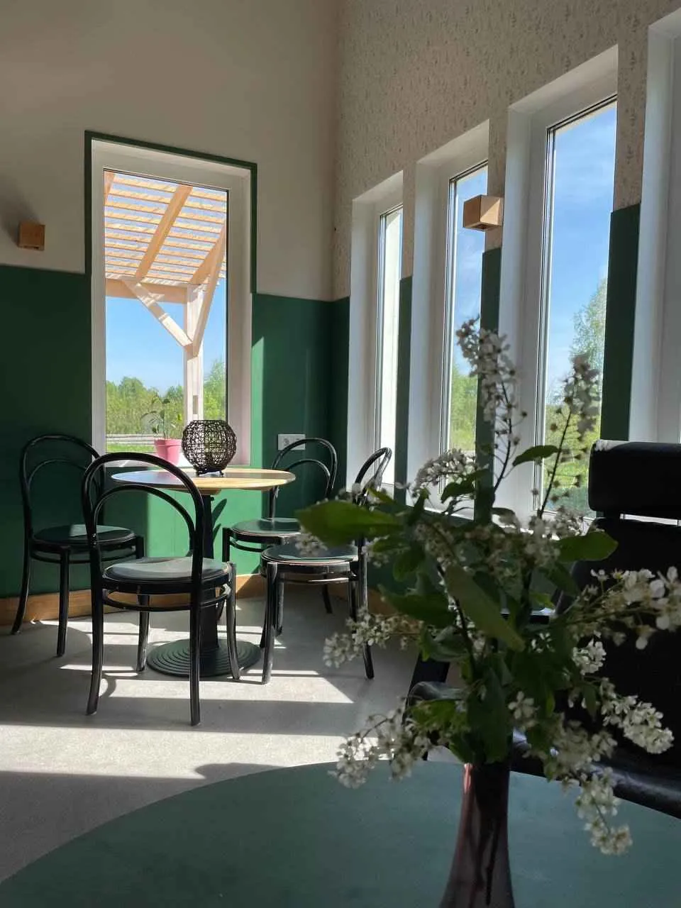 Ракита фото 4