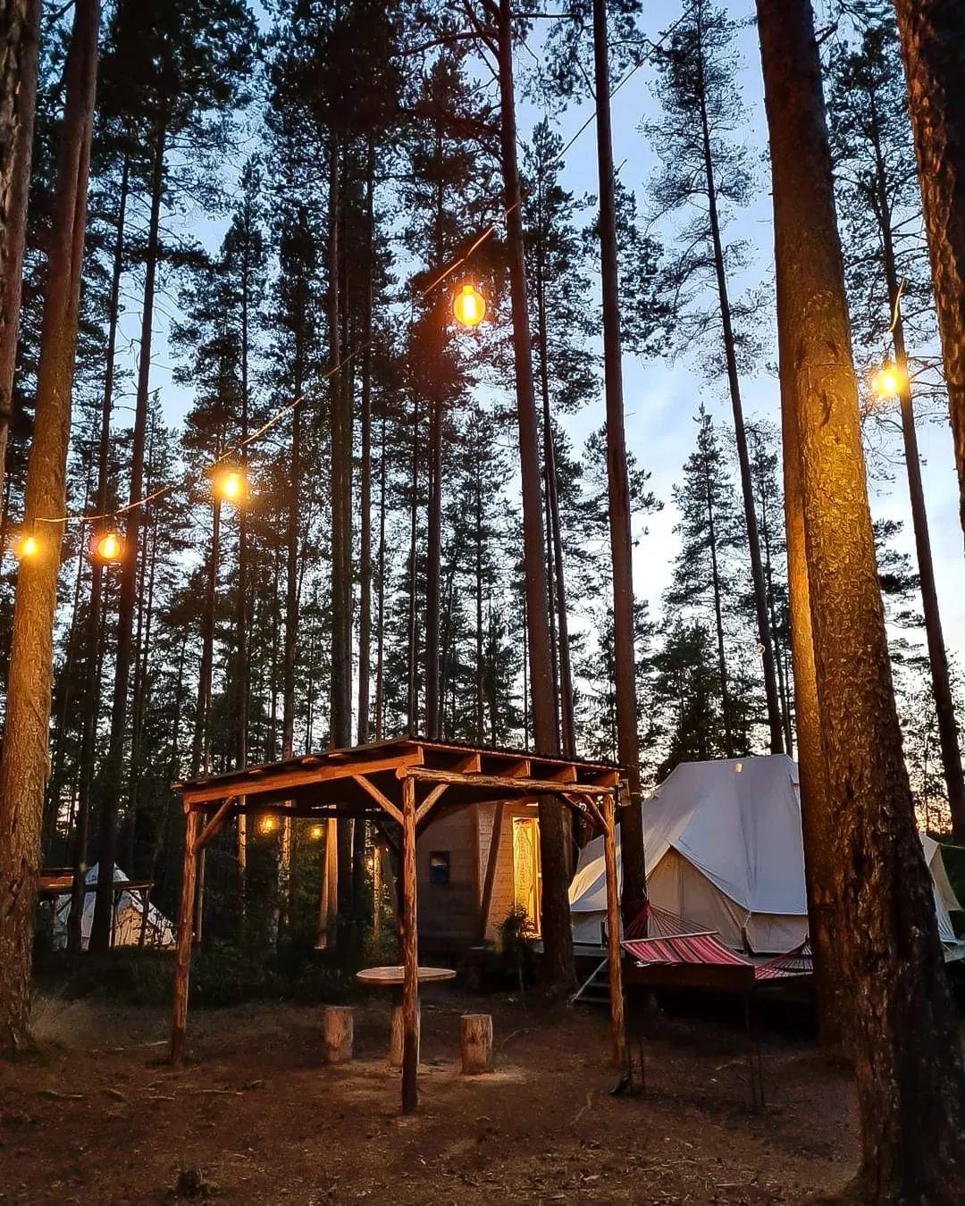 Палатка с видом на лес