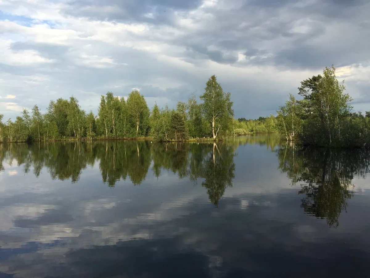 Relax villa (Релакс Вилла) фото 4