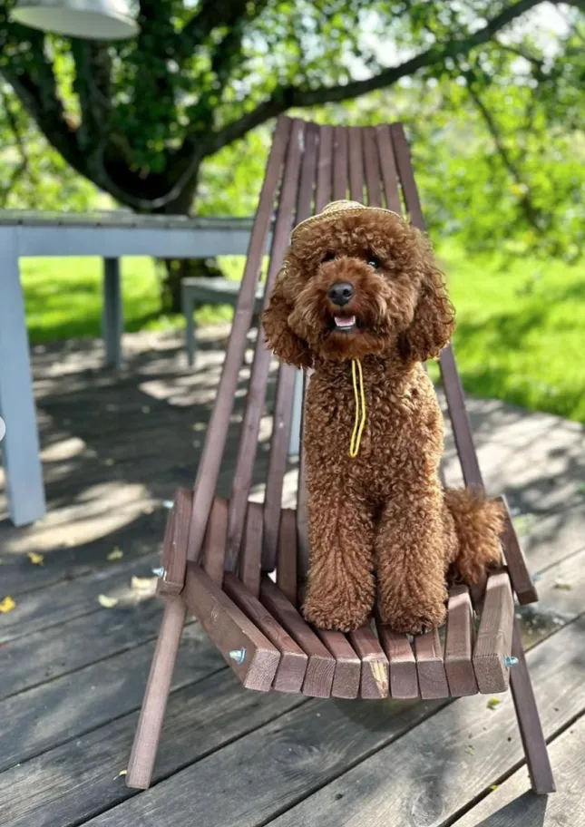 Романовское подворье фото 2