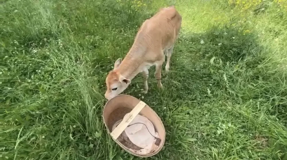 Романовское подворье фото 4