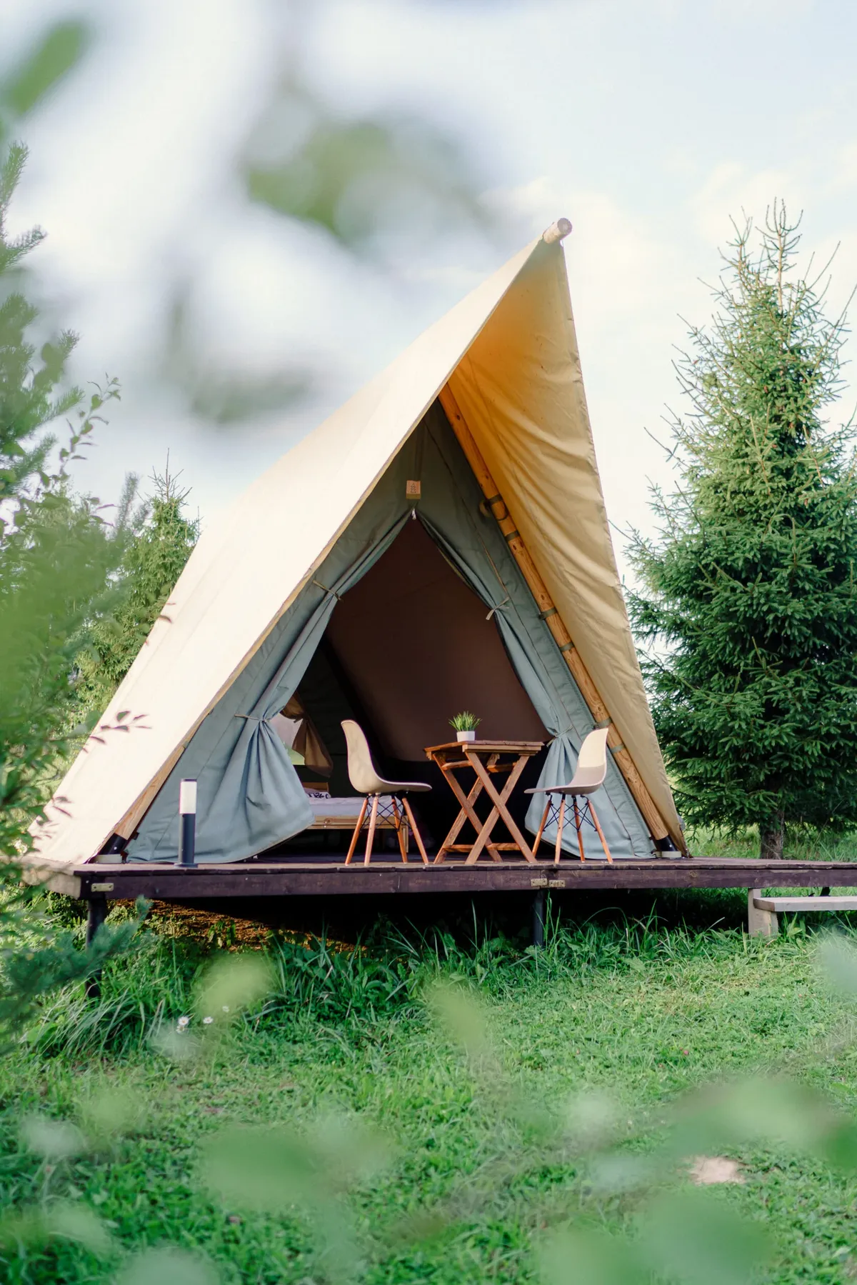 Российские Альпаки фото 2