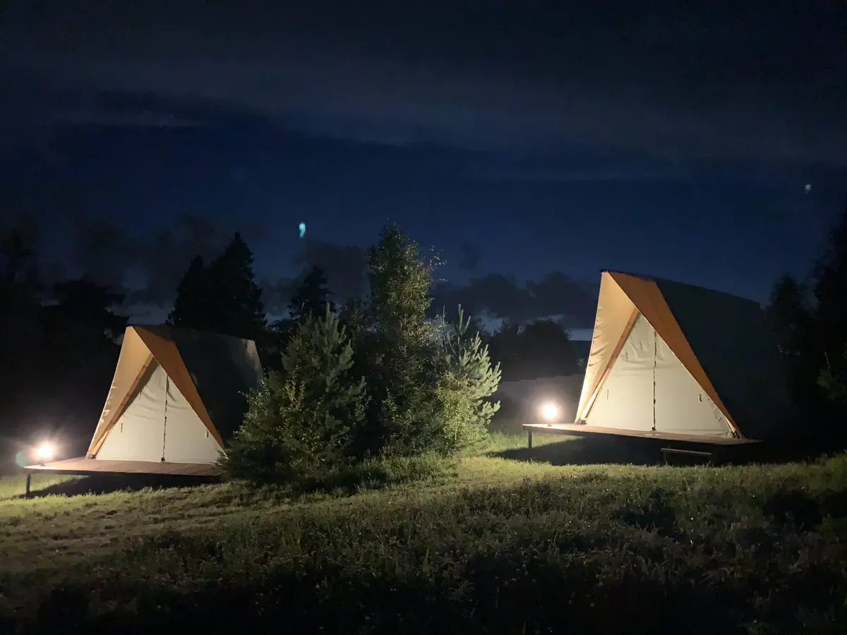 Российские Альпаки фото 3