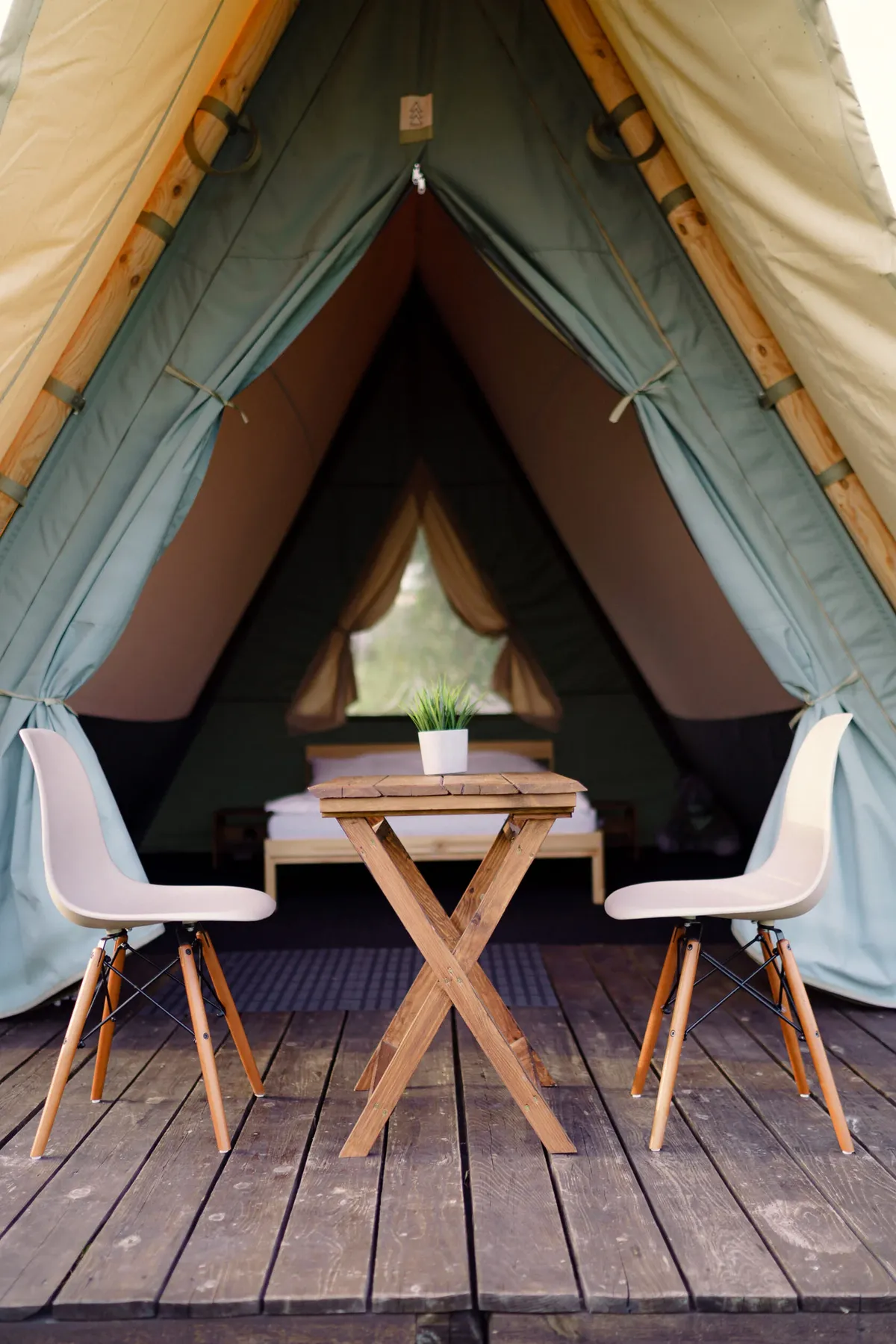 Российские Альпаки фото 4