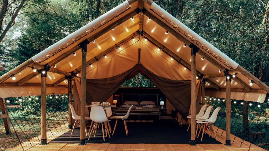 Рояль в кустах