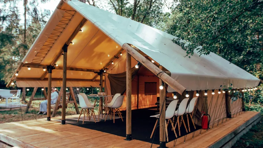 Рояль в кустах фото 2