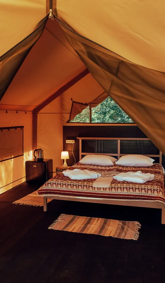 Рояль в кустах фото 3