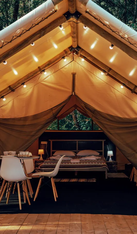 Рояль в кустах фото 4