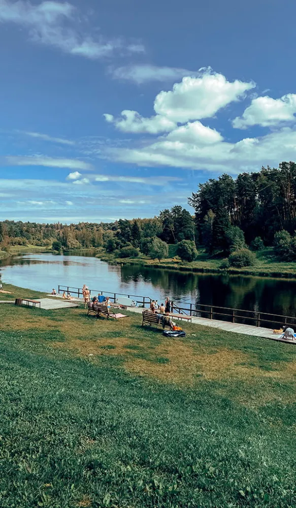 Рояль в кустах фото 5