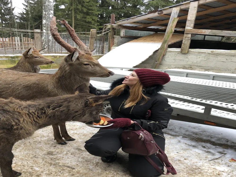 Рузские Горки фото 4