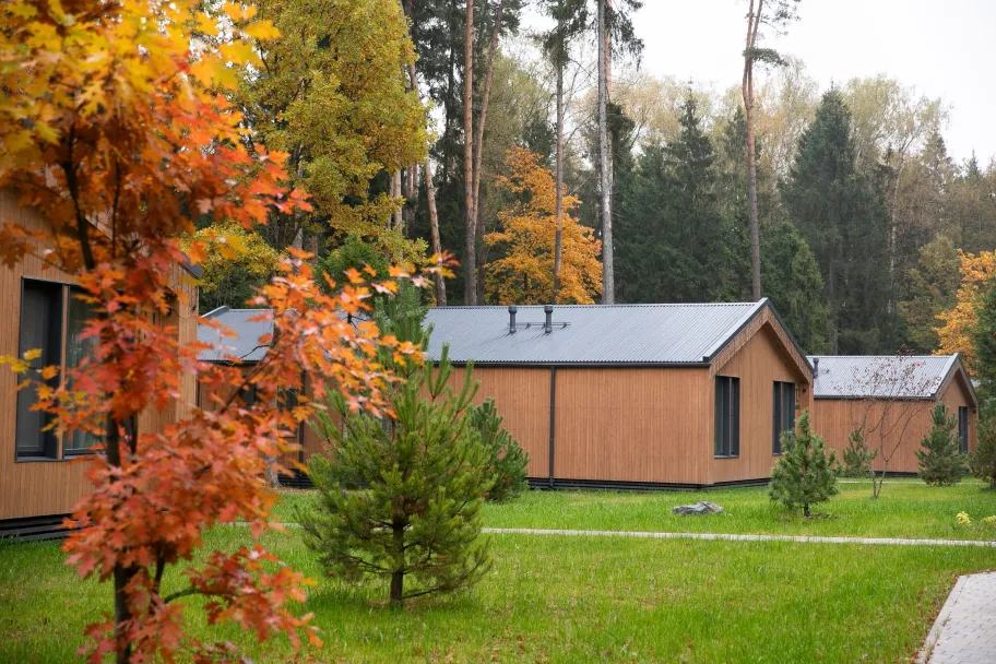 Рябиновый берег