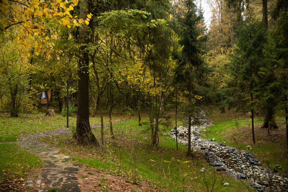 Рябиновый берег фото 4