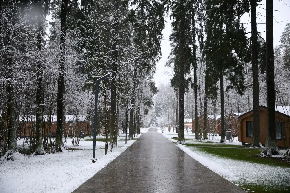 Рябиновый берег фото 5