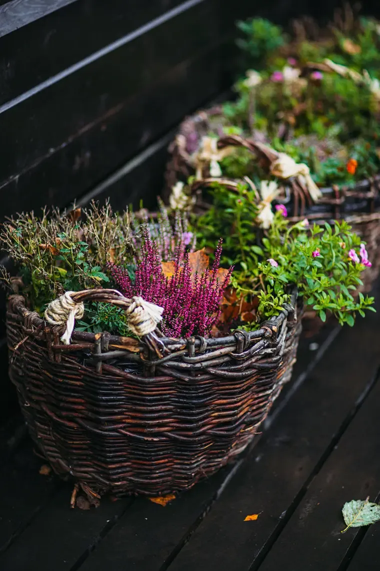 Салокюля Хутор фото 2