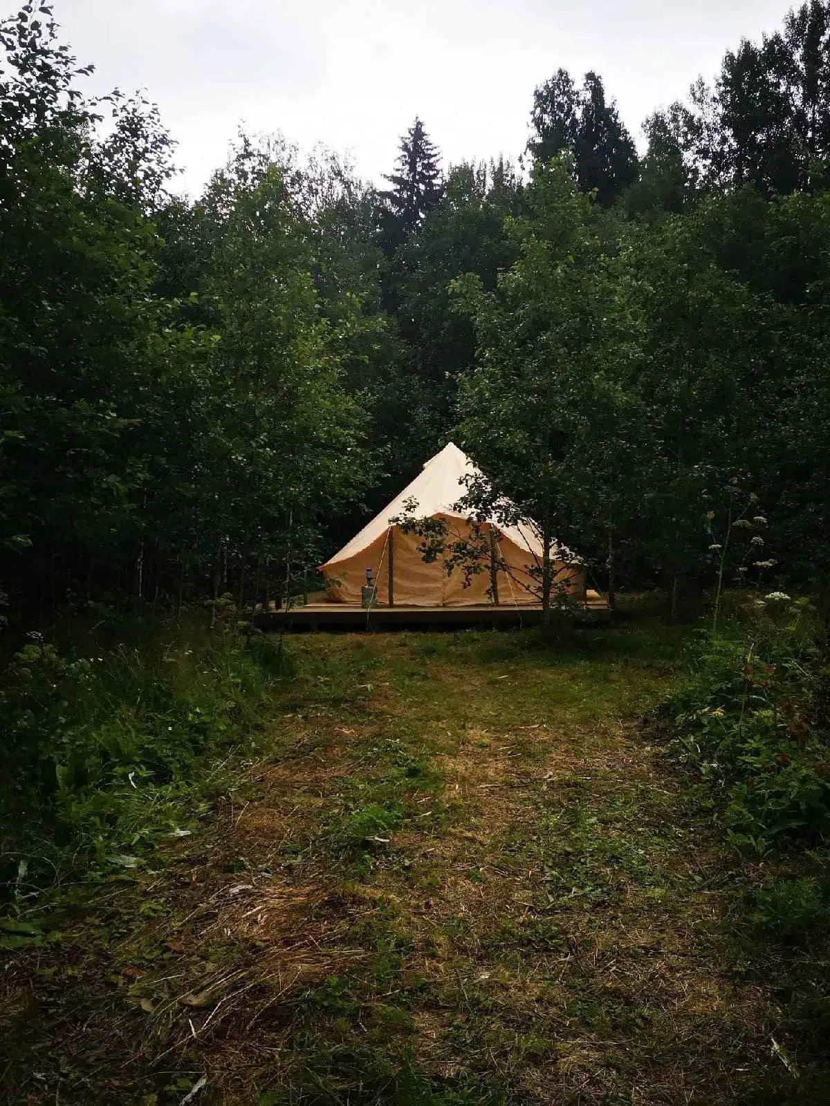 СаваКэмп фото 5