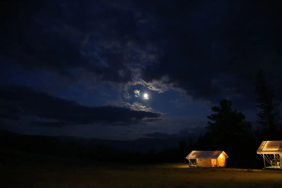 Сайкол Курай фото 2