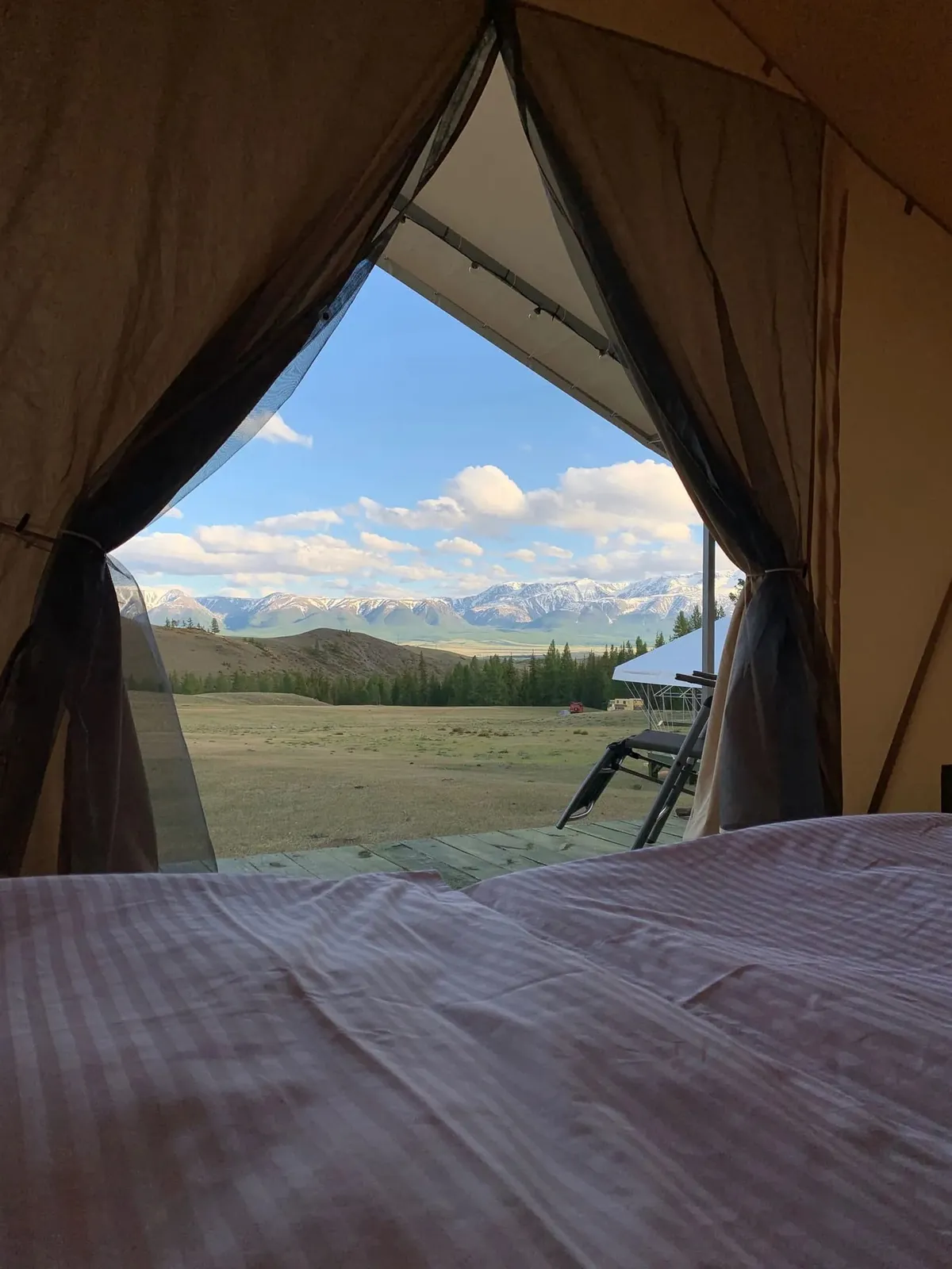 Сайкол Курай фото 3