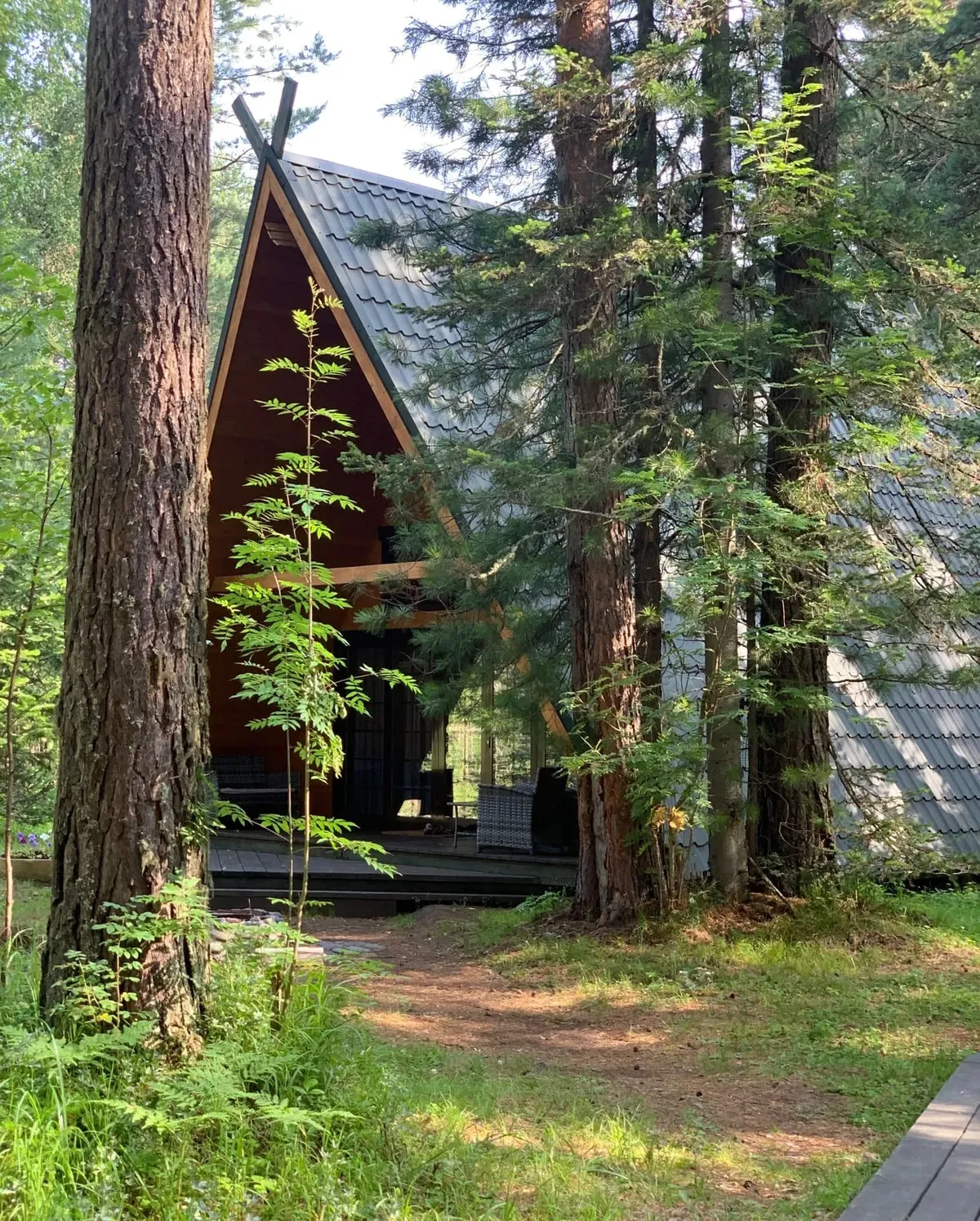 Сайкол Телецкое фото 2